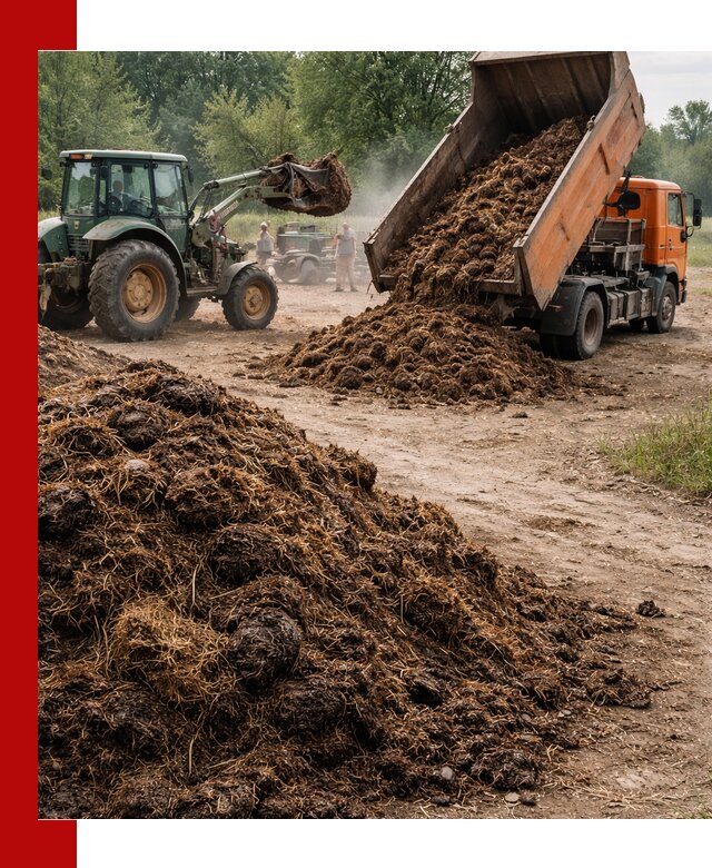 Доставка навоза самосвалами в Тюмени для сельхозпотребностей